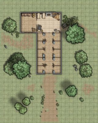 Carte 1172, carte de JDR — battlemap pour Roll20 et Foundry VTT