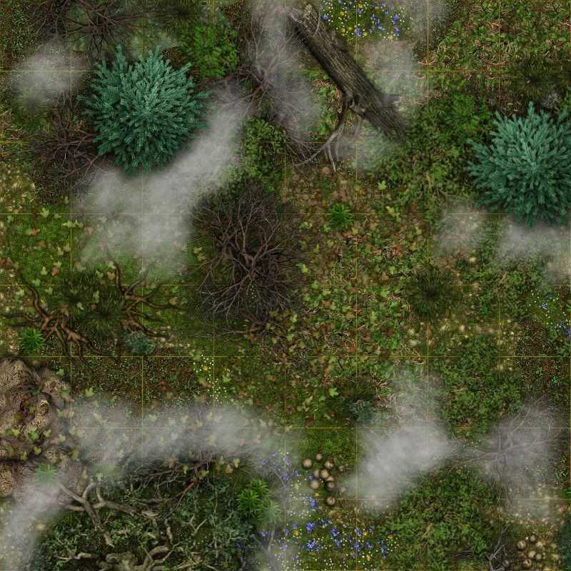 Carte 126, carte de JDR — battlemap pour Roll20 et Foundry VTT