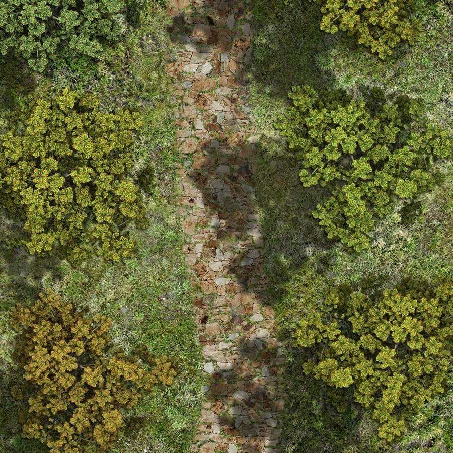Carte 140, carte de JDR — battlemap pour Roll20 et Foundry VTT