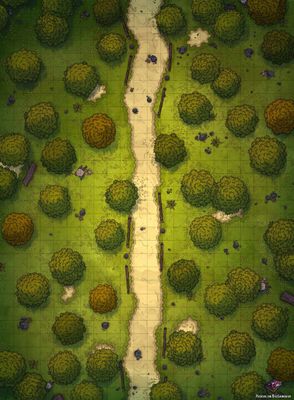 Carte 254, carte de JDR — battlemap pour Roll20 et Foundry VTT