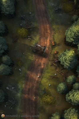 Carte 256, carte de JDR — battlemap pour Roll20 et Foundry VTT