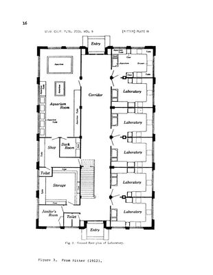 Carte 2745, carte de JDR — battlemap pour Roll20 et Foundry VTT