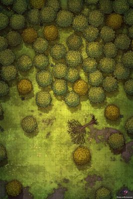 Carte 320, carte de JDR — battlemap pour Roll20 et Foundry VTT