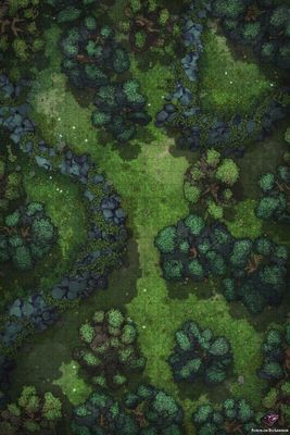 Carte 335, carte de JDR — battlemap pour Roll20 et Foundry VTT
