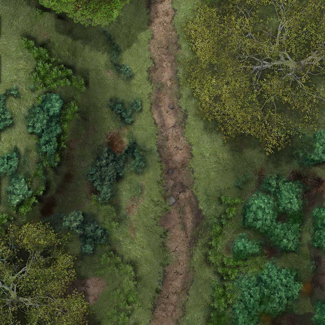 Carte 45, carte de JDR — battlemap pour Roll20 et Foundry VTT