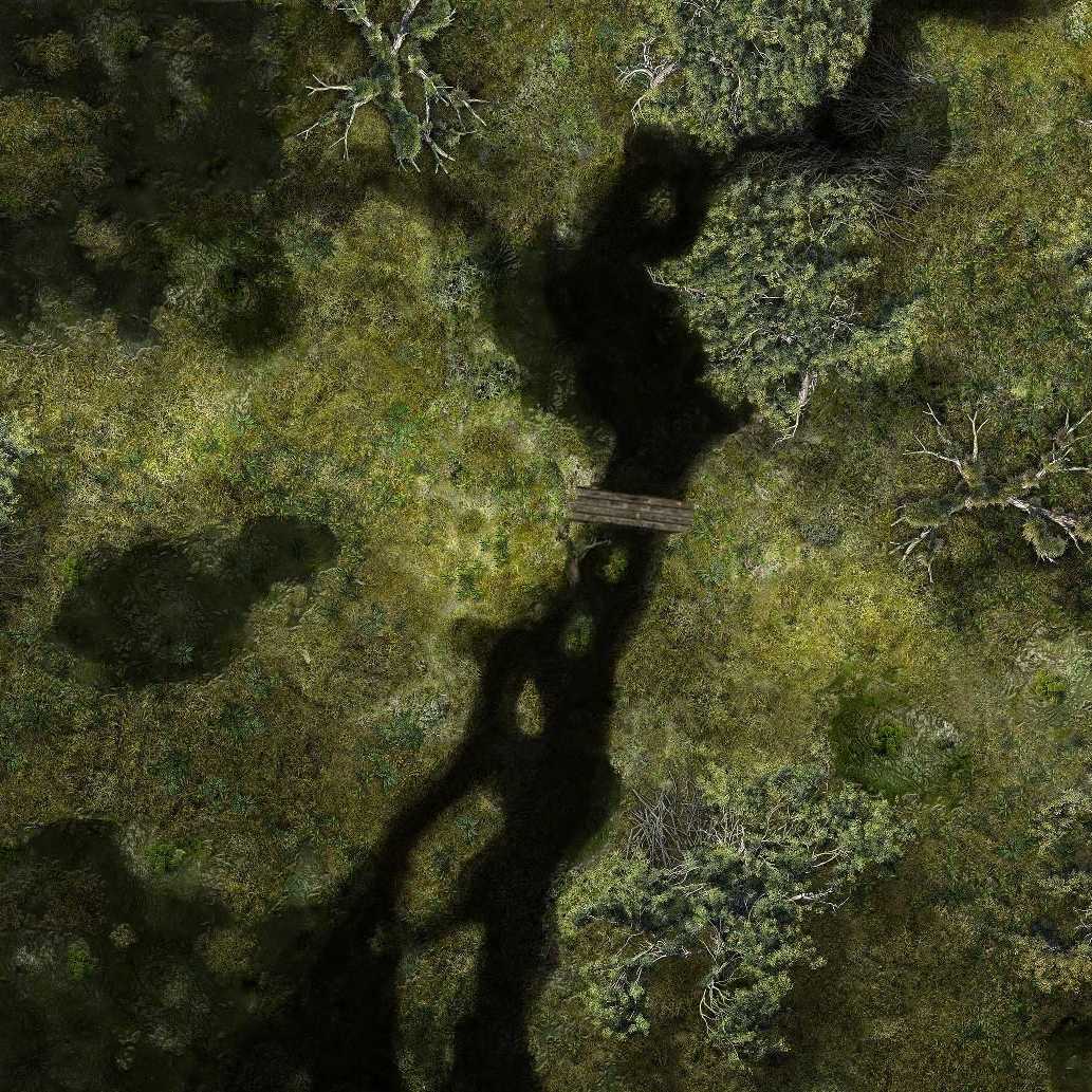 Carte 48, carte de JDR — battlemap pour Roll20 et Foundry VTT