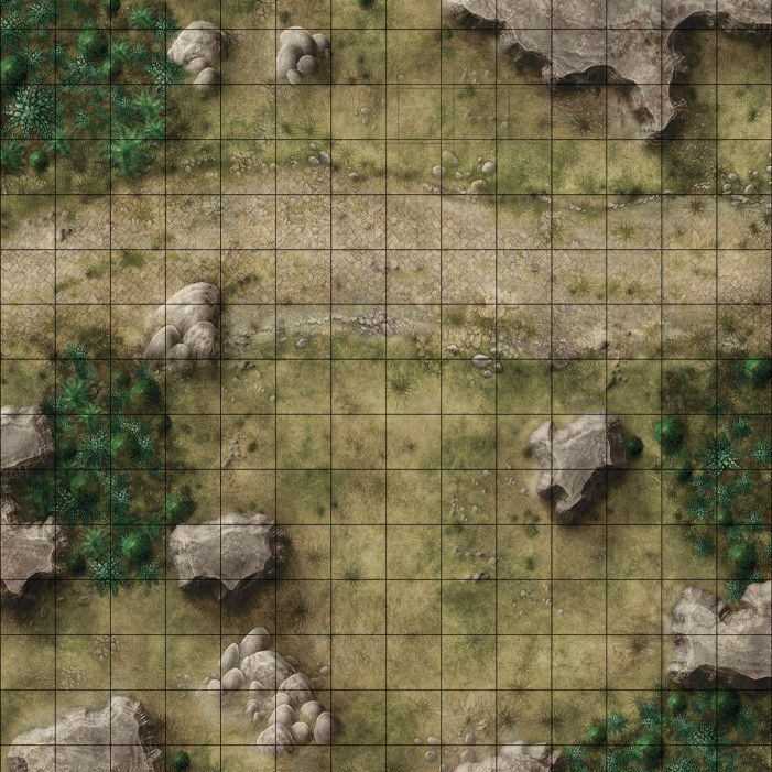 Carte 49, carte de JDR — battlemap pour Roll20 et Foundry VTT