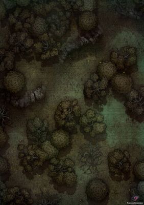 Carte 505, carte de JDR — battlemap pour Roll20 et Foundry VTT