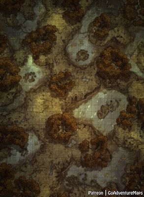 Carte 513, carte de JDR — battlemap pour Roll20 et Foundry VTT