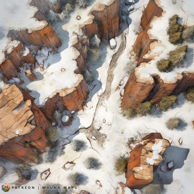Carte 542, carte de JDR — battlemap pour Roll20 et Foundry VTT