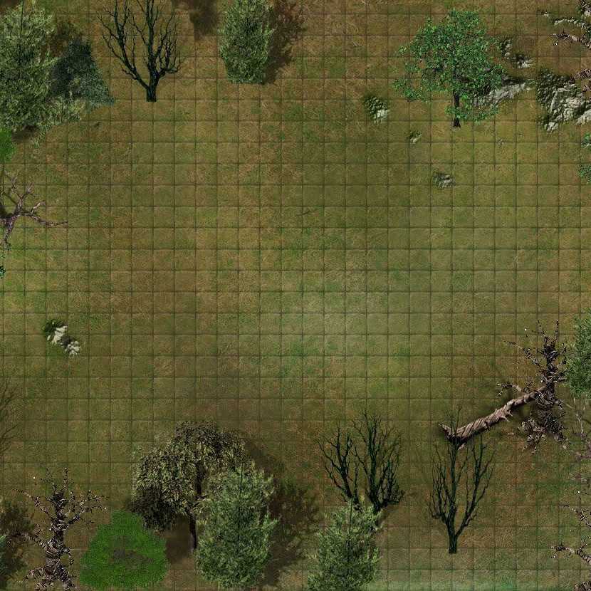 Carte 55, carte de JDR — battlemap pour Roll20 et Foundry VTT