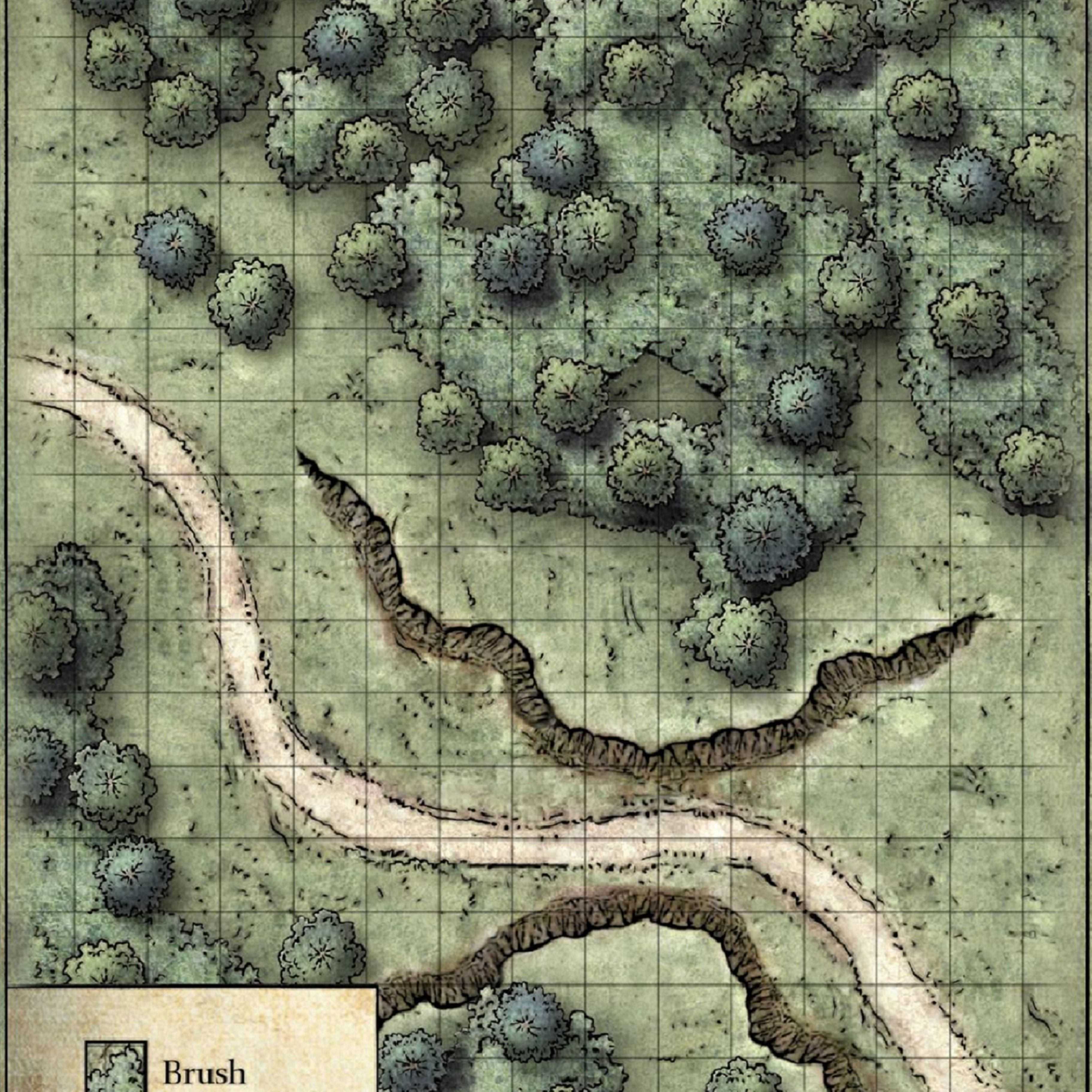Carte 64, carte de JDR — battlemap pour Roll20 et Foundry VTT