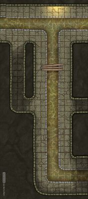 Carte 701, carte de JDR — battlemap pour Roll20 et Foundry VTT