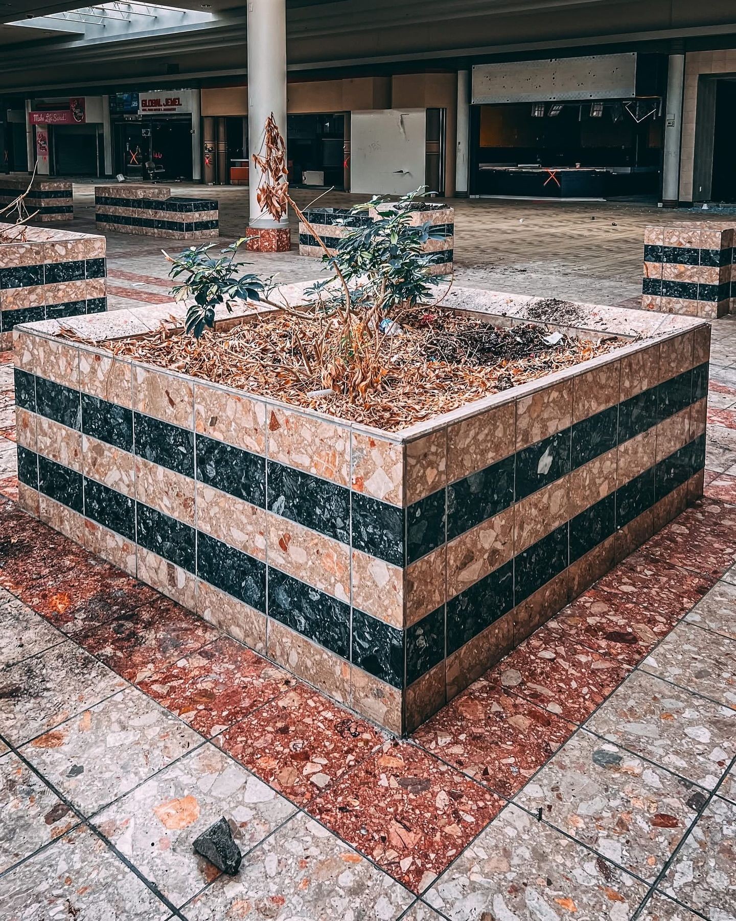 abandoned mall map, carte de JDR post-apocalyptique (1440×1800 pixels) — battlemap pour Roll20 et Foundry VTT.