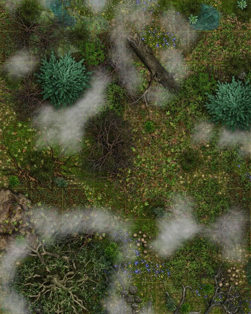 Carte 126, carte de JDR fantasy — battlemap pour Roll20 et Foundry VTT.