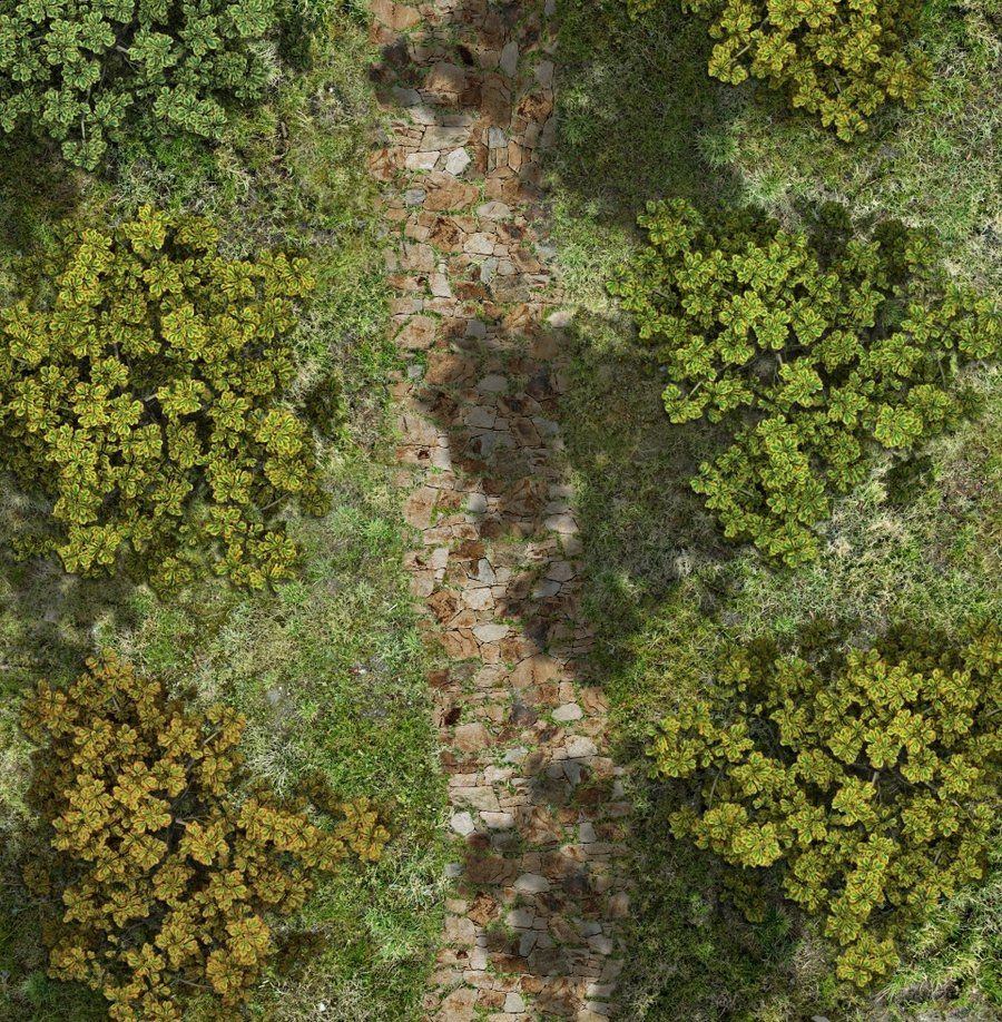 Carte 140, carte de JDR fantasy — battlemap pour Roll20 et Foundry VTT.