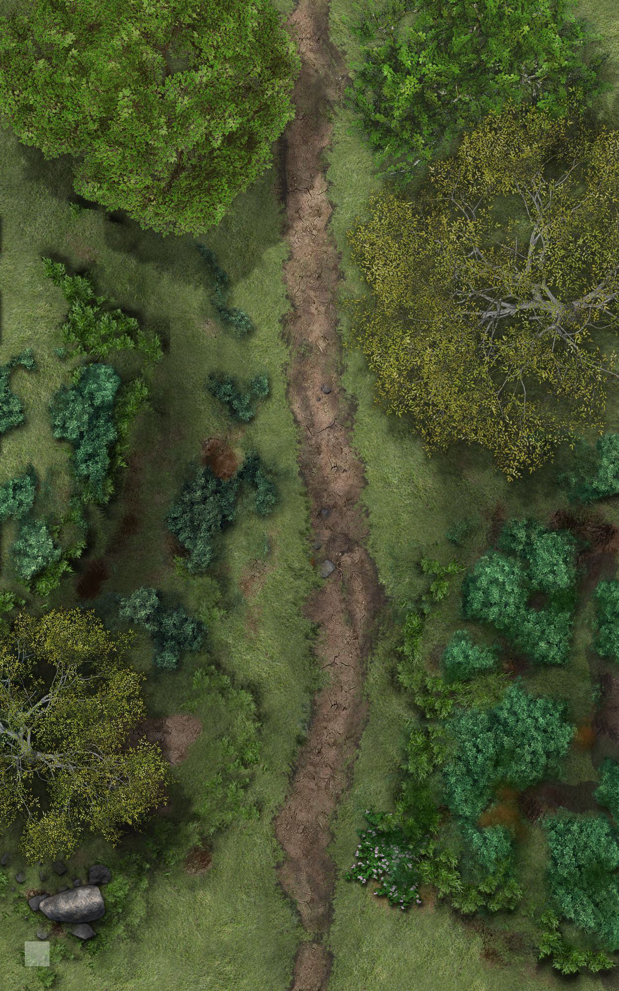Carte 45, carte de JDR fantasy — battlemap pour Roll20 et Foundry VTT.