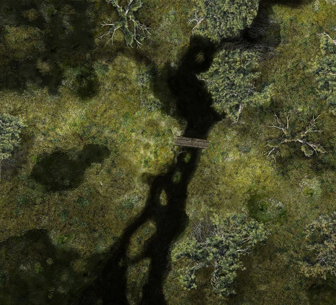 Carte 48, carte de JDR fantasy — battlemap pour Roll20 et Foundry VTT.