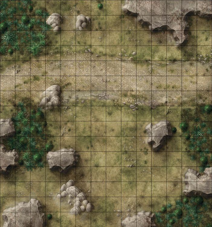 Carte 49, carte de JDR fantasy — battlemap pour Roll20 et Foundry VTT.