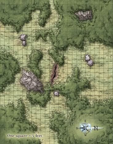Carte 51, carte de JDR fantasy — battlemap pour Roll20 et Foundry VTT.