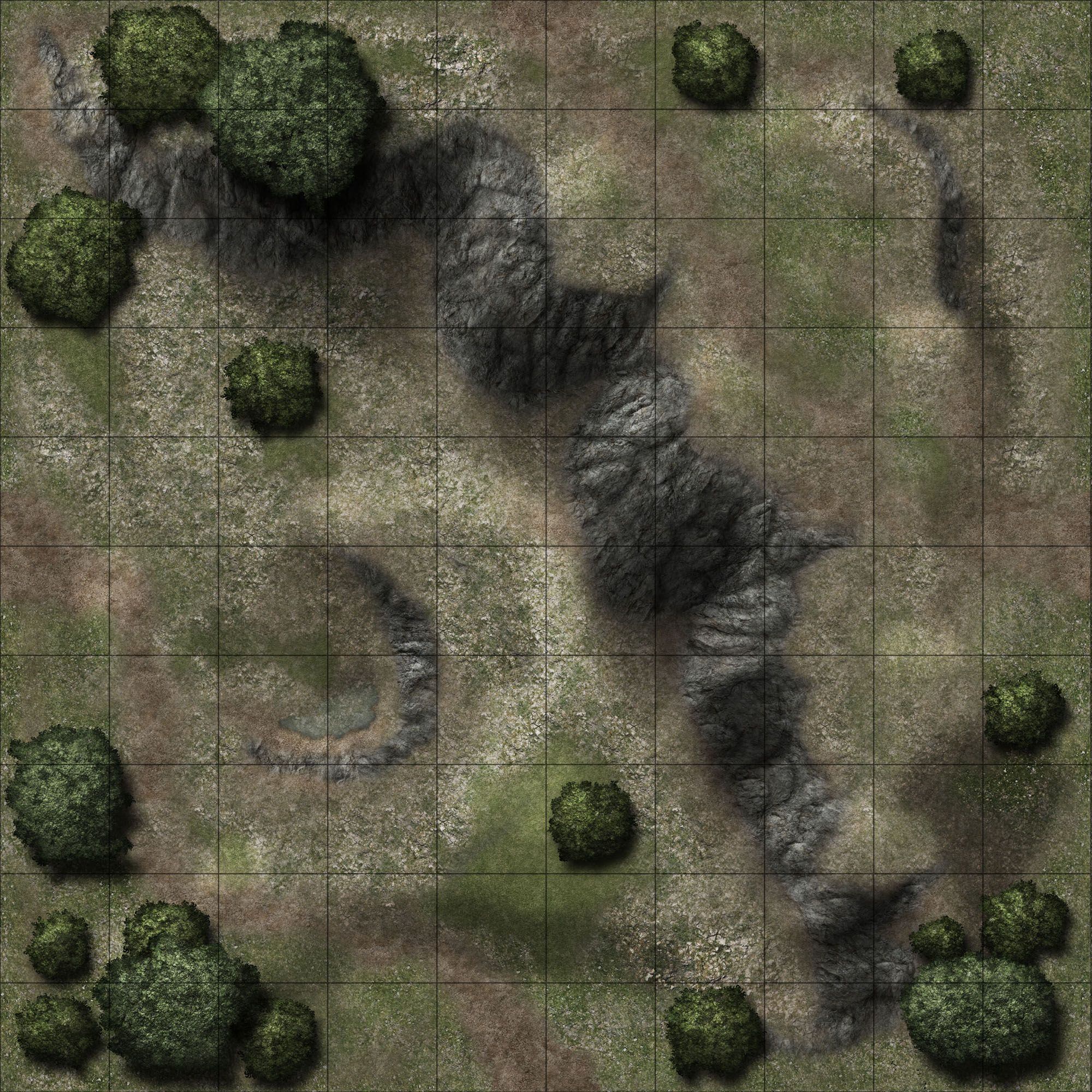 Carte 65, carte de JDR fantasy — battlemap pour Roll20 et Foundry VTT.