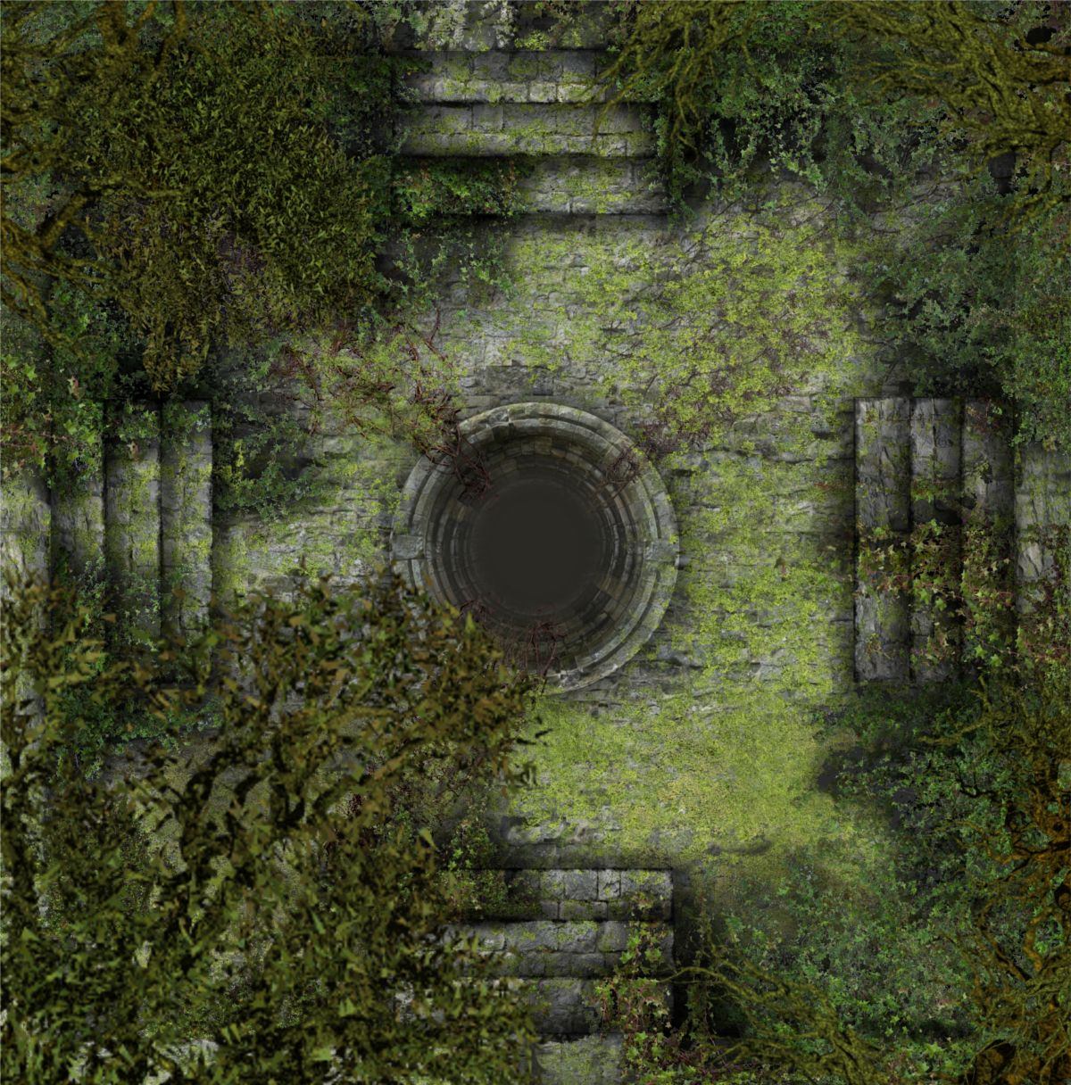 Carte 81, carte de JDR fantasy — battlemap pour Roll20 et Foundry VTT.