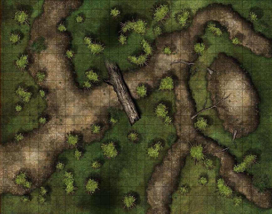 Carte 91, carte de JDR fantasy — battlemap pour Roll20 et Foundry VTT.