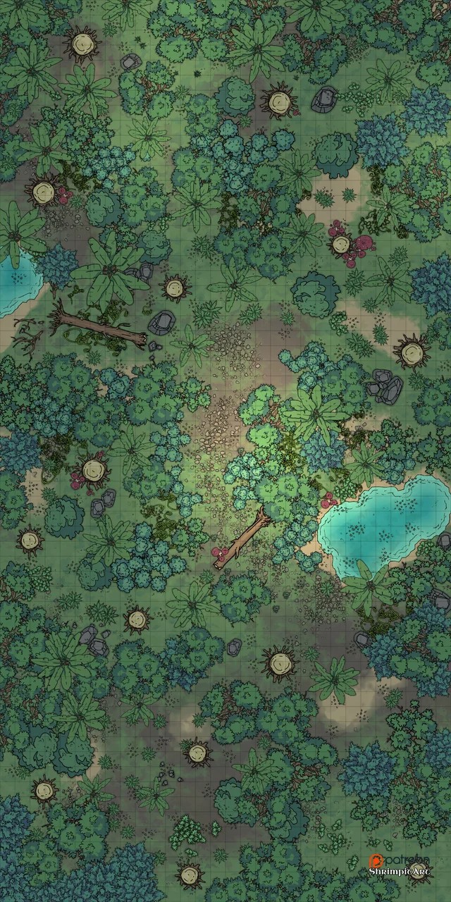 jungle map dnd, carte de JDR fantasy (640×1280 pixels) — battlemap pour Roll20 et Foundry VTT.