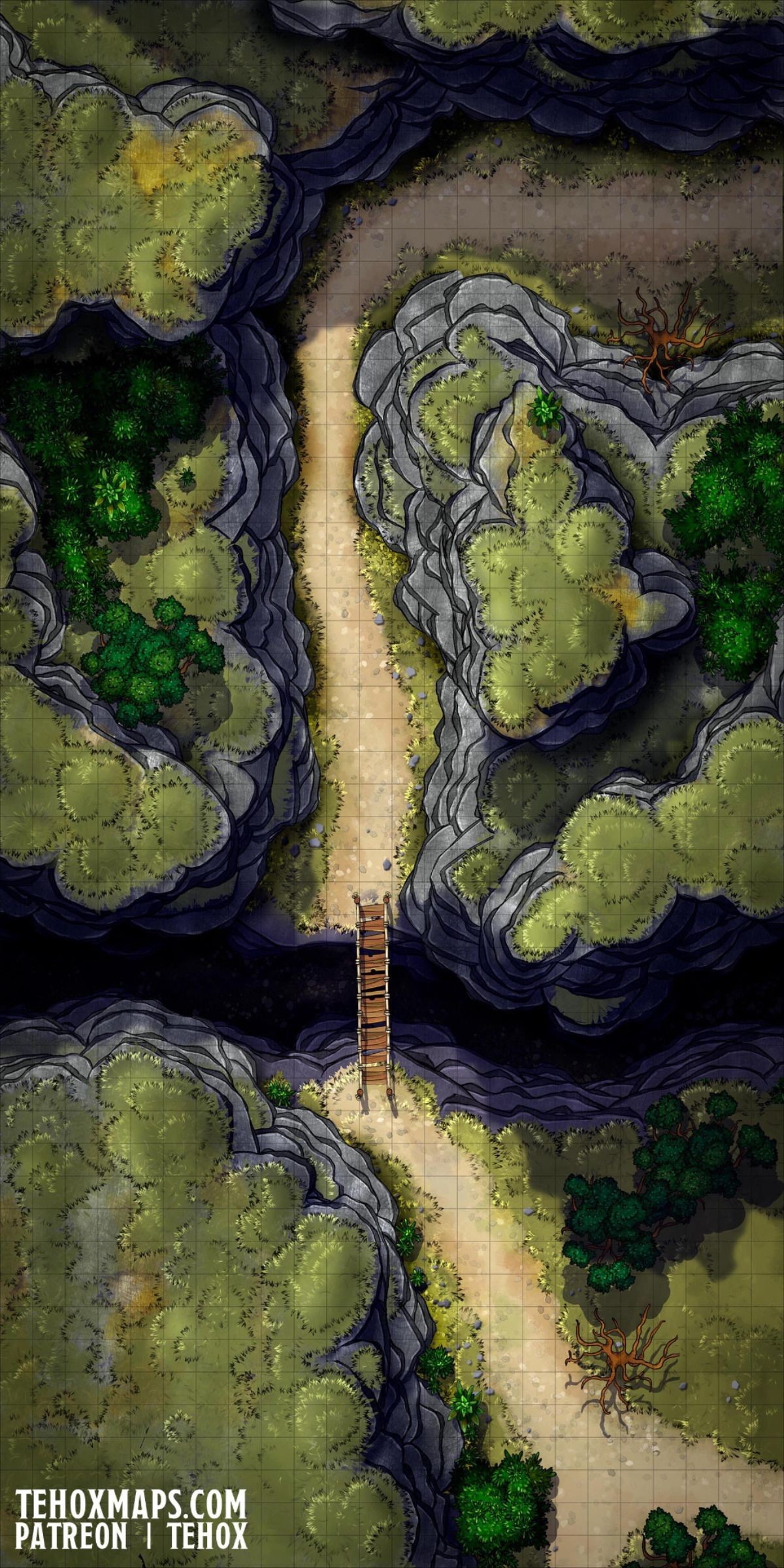 mountain pass map dnd, carte de JDR fantasy (1200×2400 pixels) — battlemap pour Roll20 et Foundry VTT.